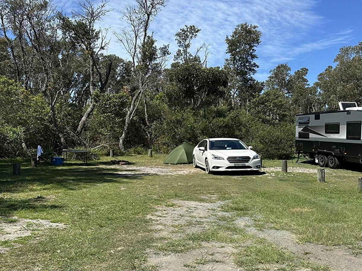 Campsite at Crowdy Gap campground. Credit: &copy; DCCEEW