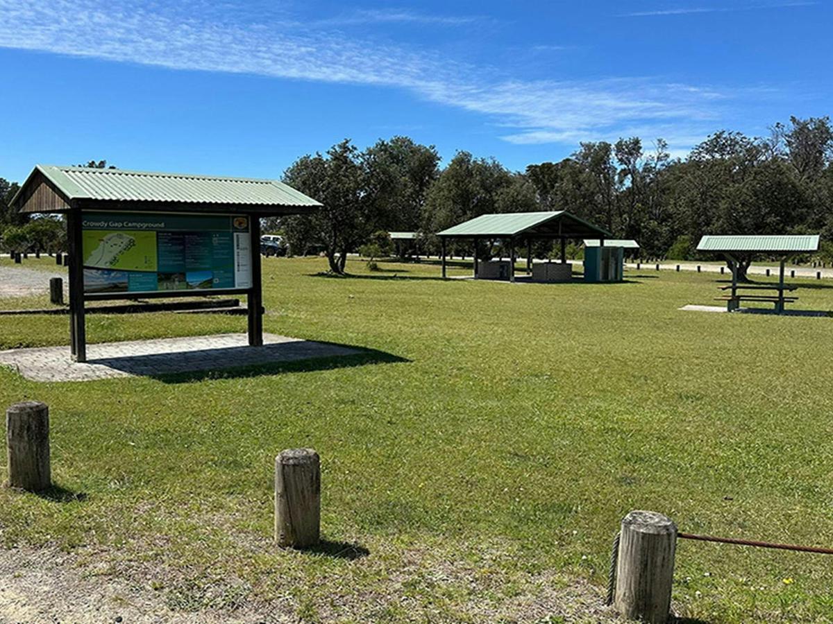 Grassy area and picnic shelters at Crowdy Gap campground. Credit: &copy; DCCEEW