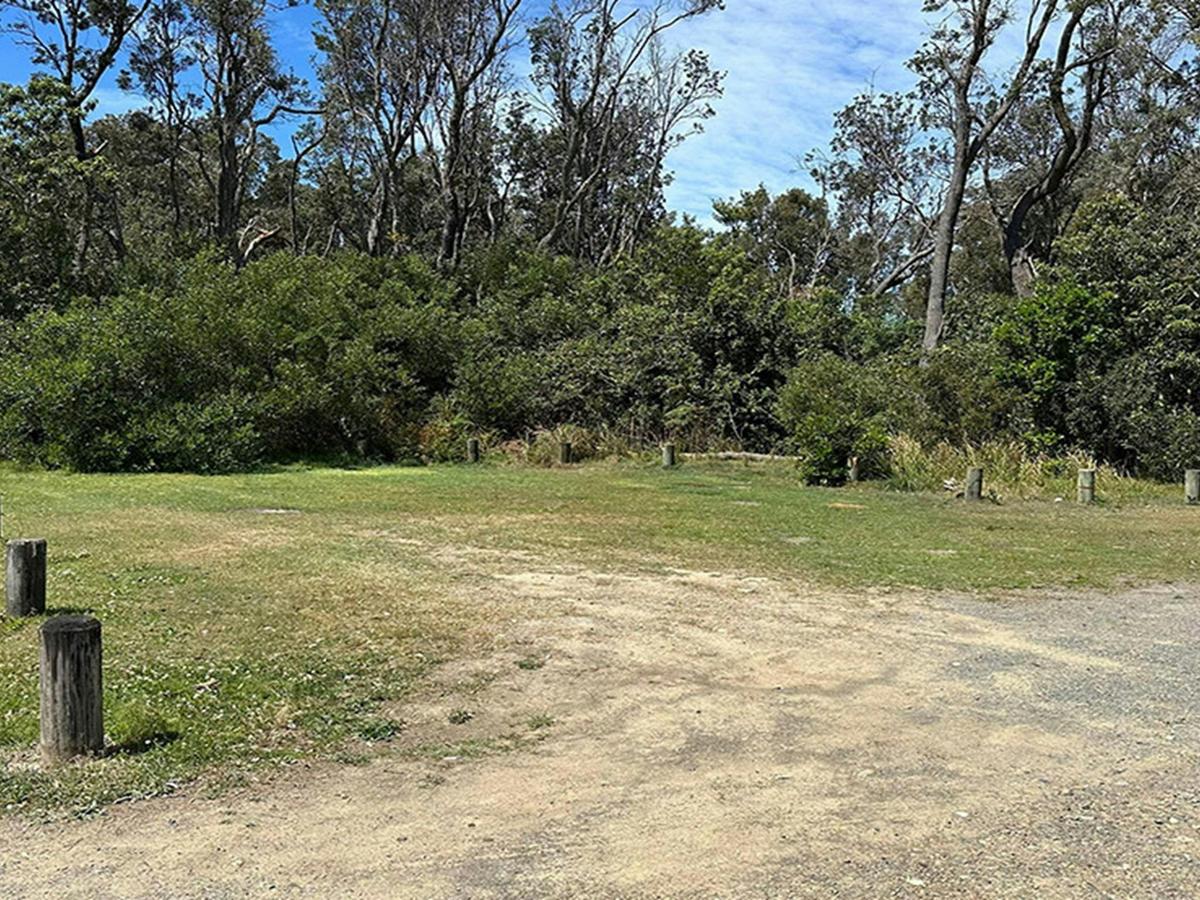Campsite 6 at Crowdy Gap campground. Credit: &copy; DCCEEW