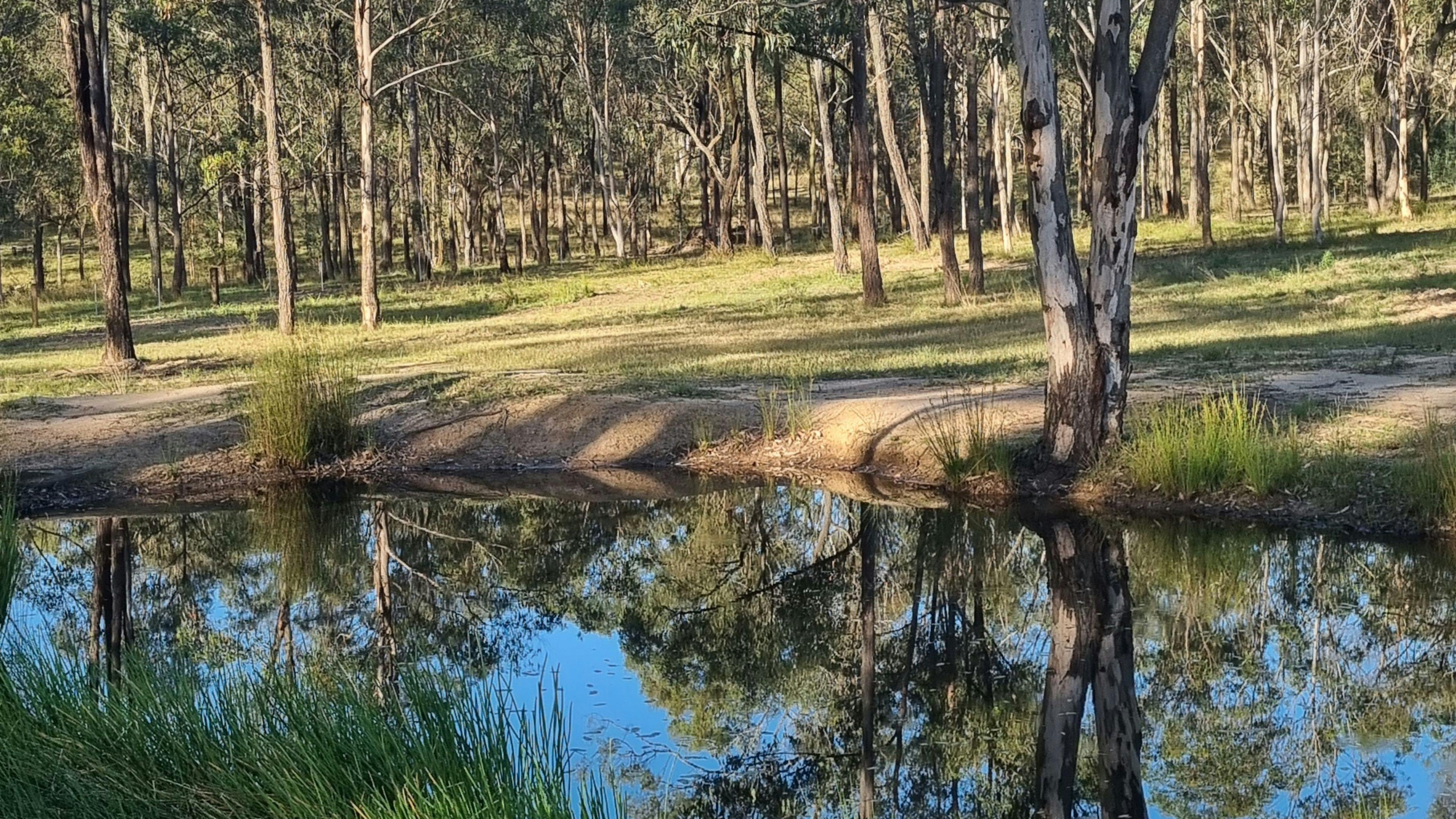 Doorstep to the Vineyards No 1