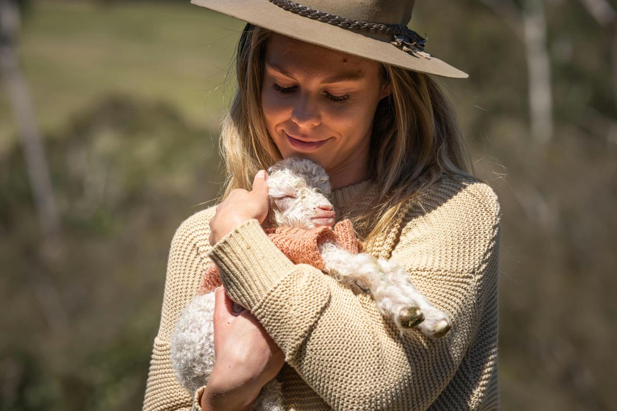 Getting up close and personal with baby goats on the farm during spring
