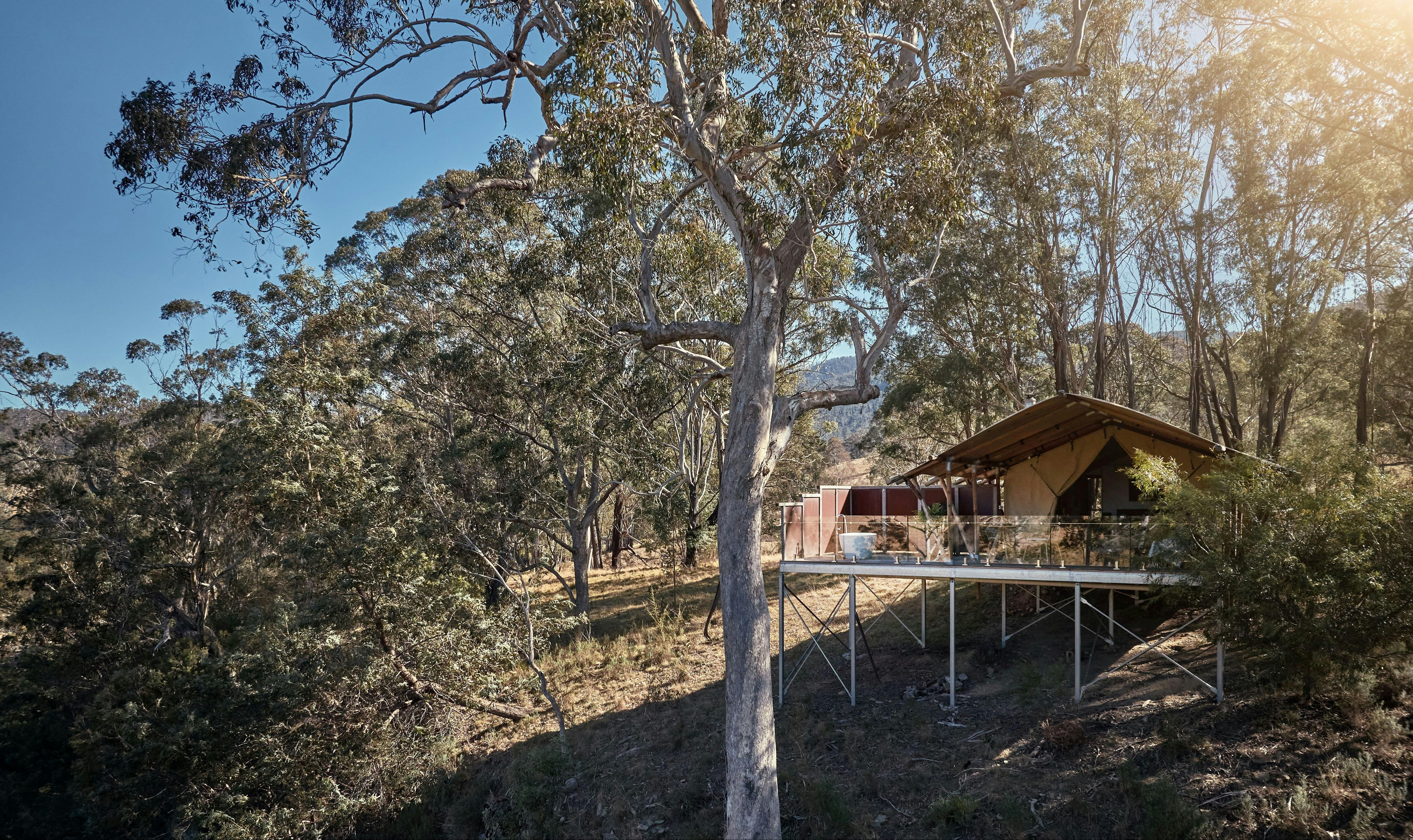 Safari tent perched on the high on the cliff surrounded by a canopy of trees