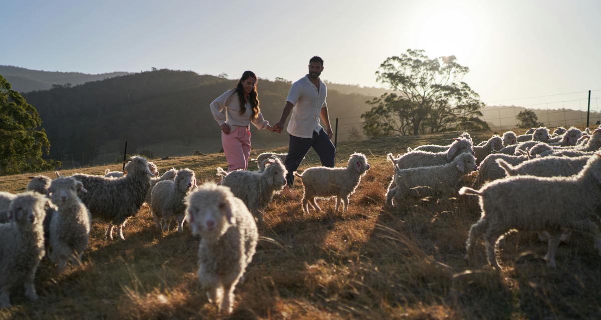 Evening farm walk among the goats