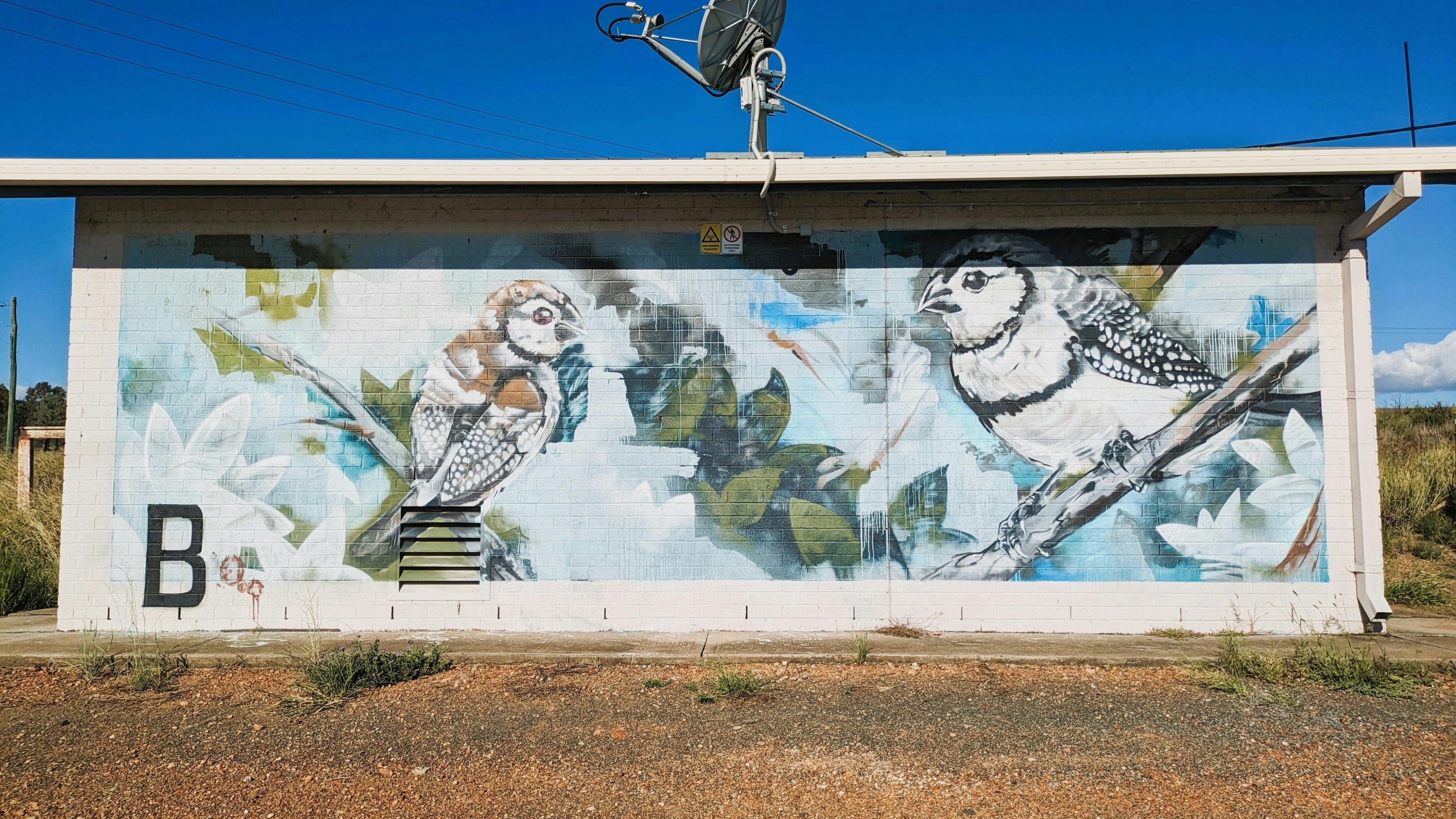 Dartbrook Signal Station Mural