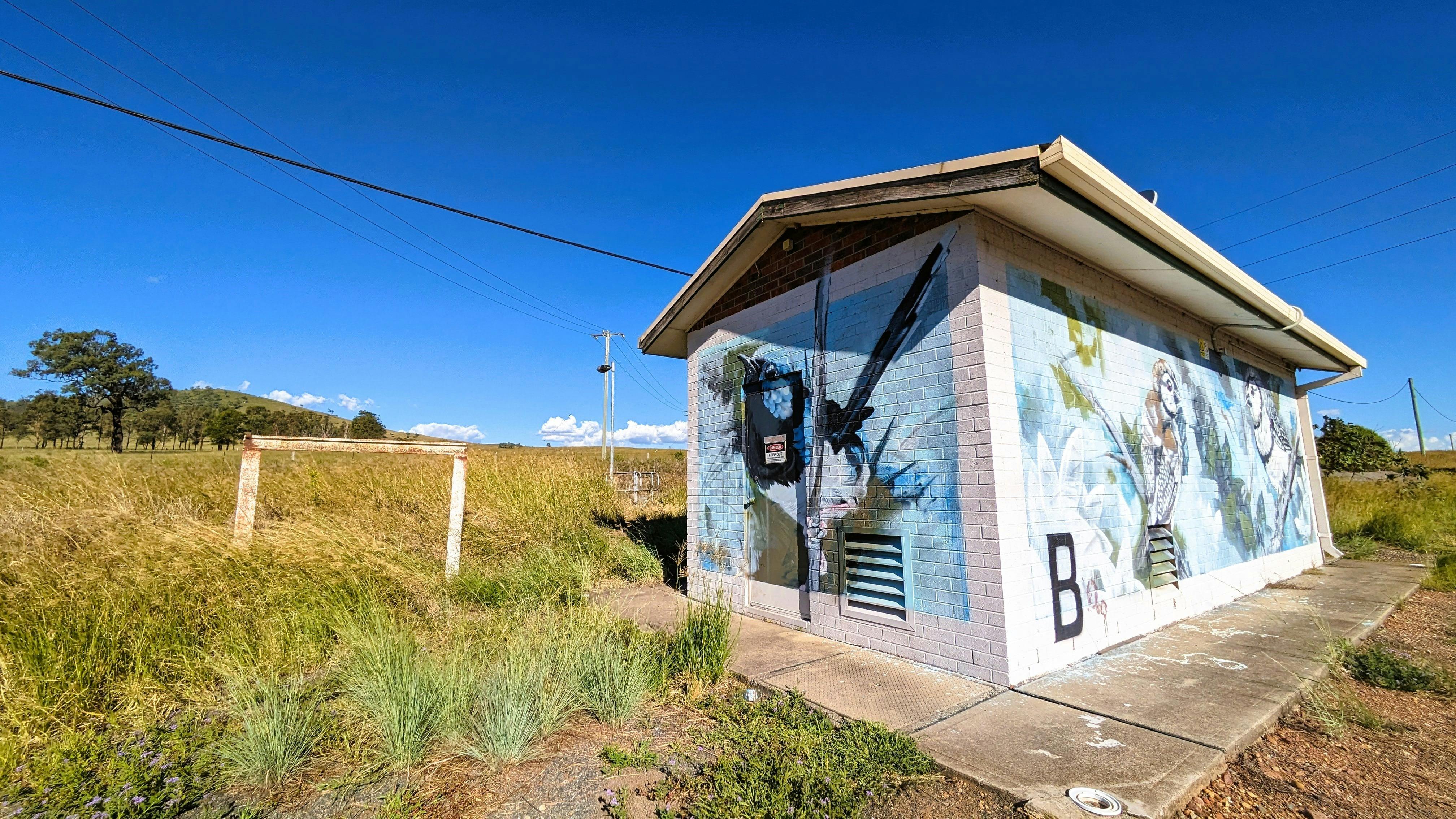 Dartbrook Signal Station Mural