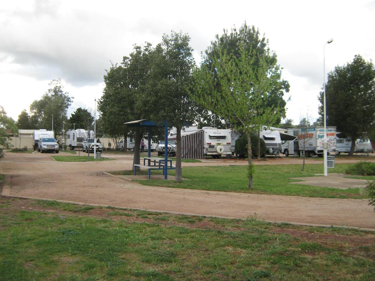 Grassy verge for tents