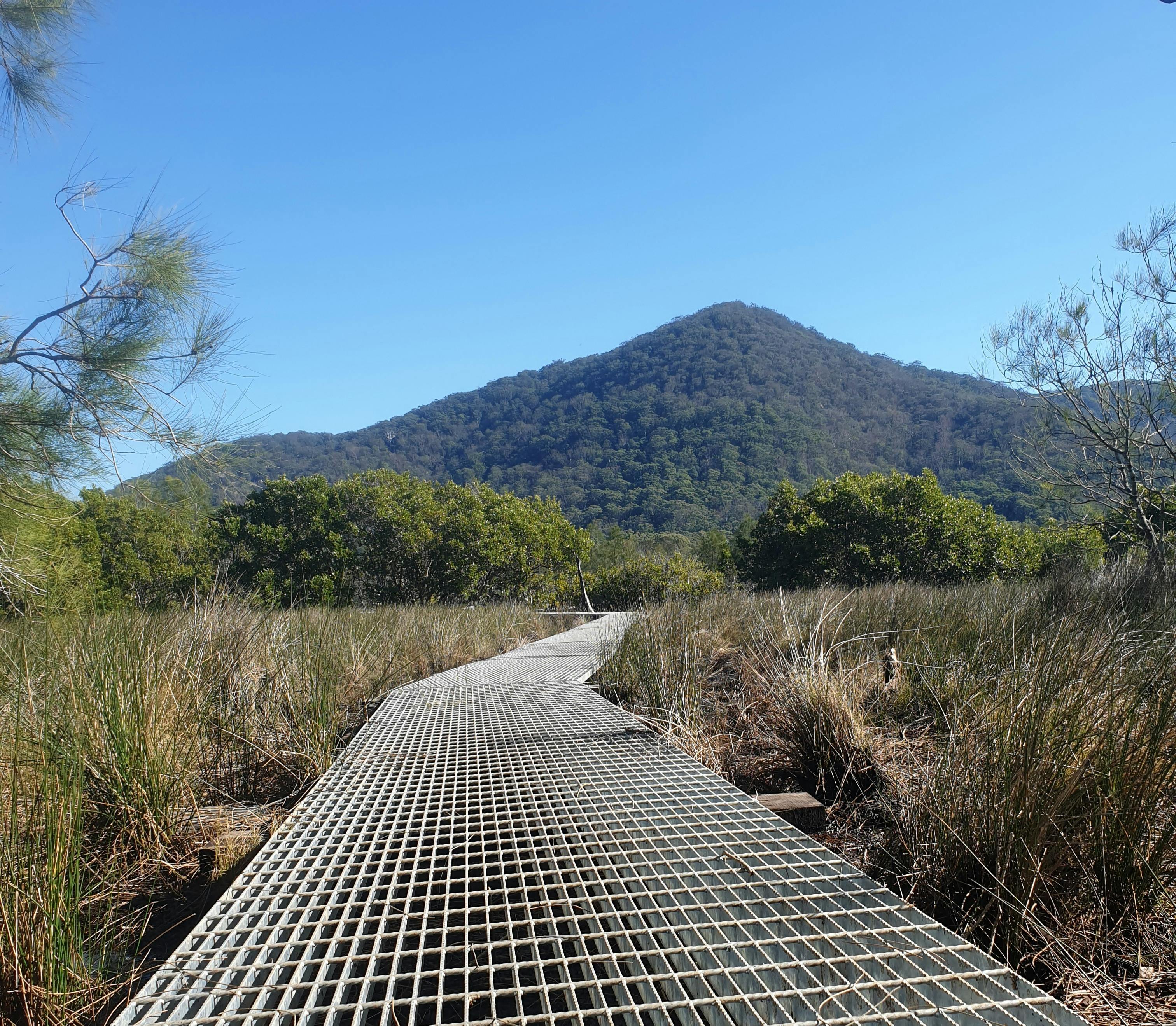 Wetland walkway