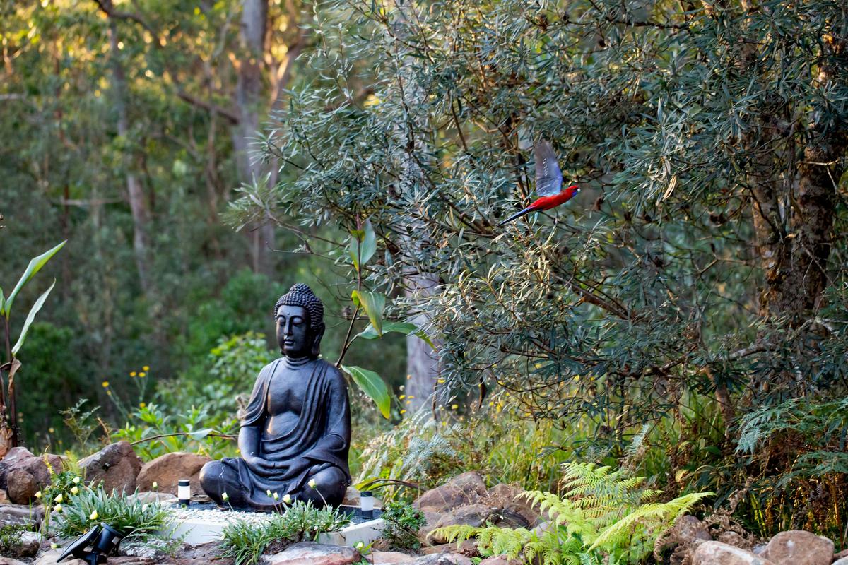 Budda dam, view from your deck