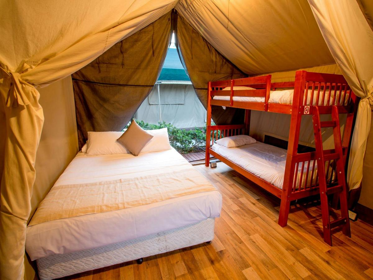 Standard Safari Tent
