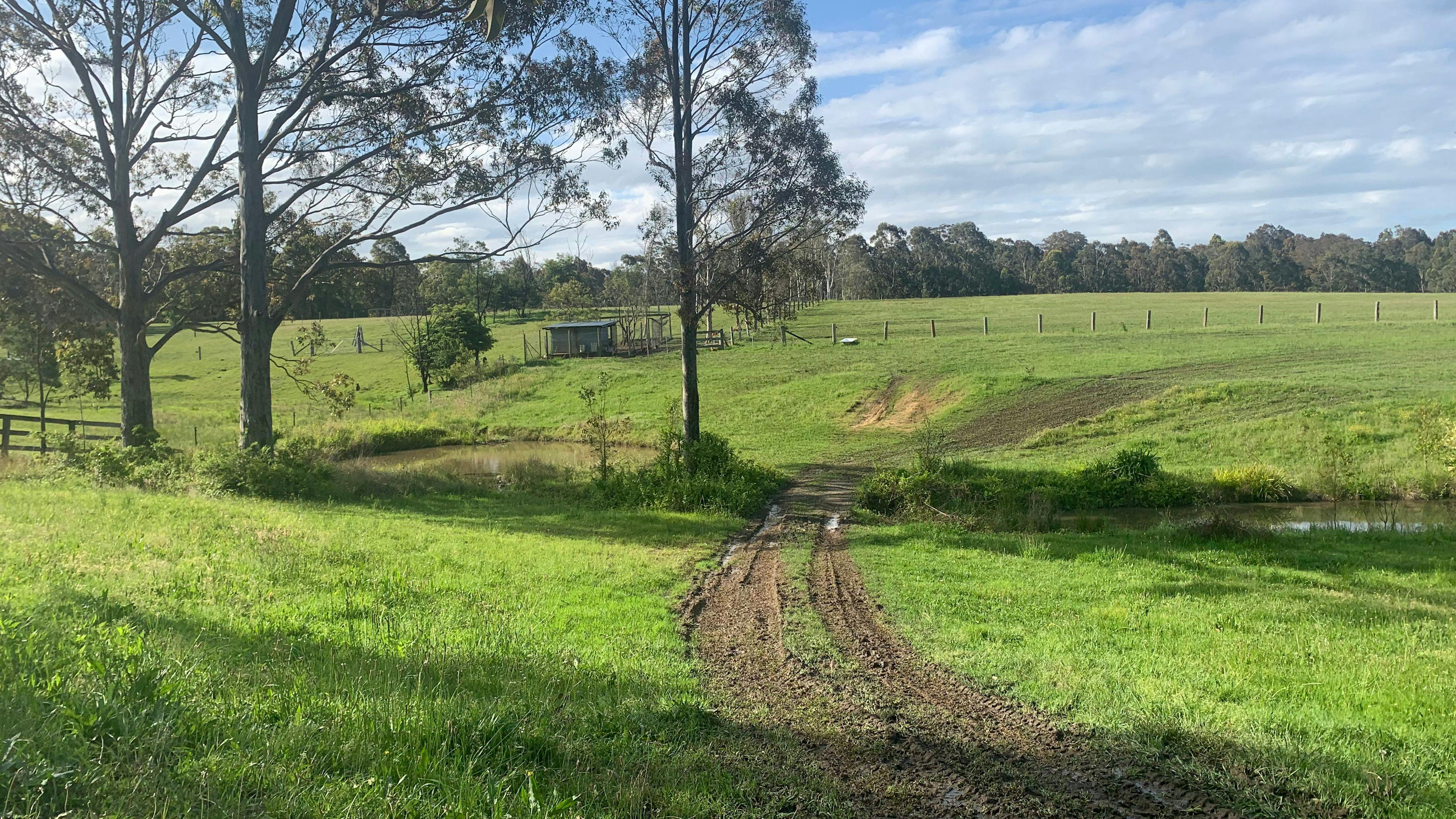 Currambene Creek Farm