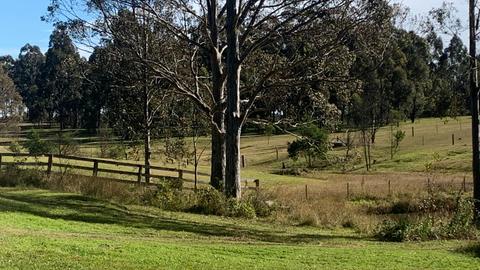 Currambene Creek Farm