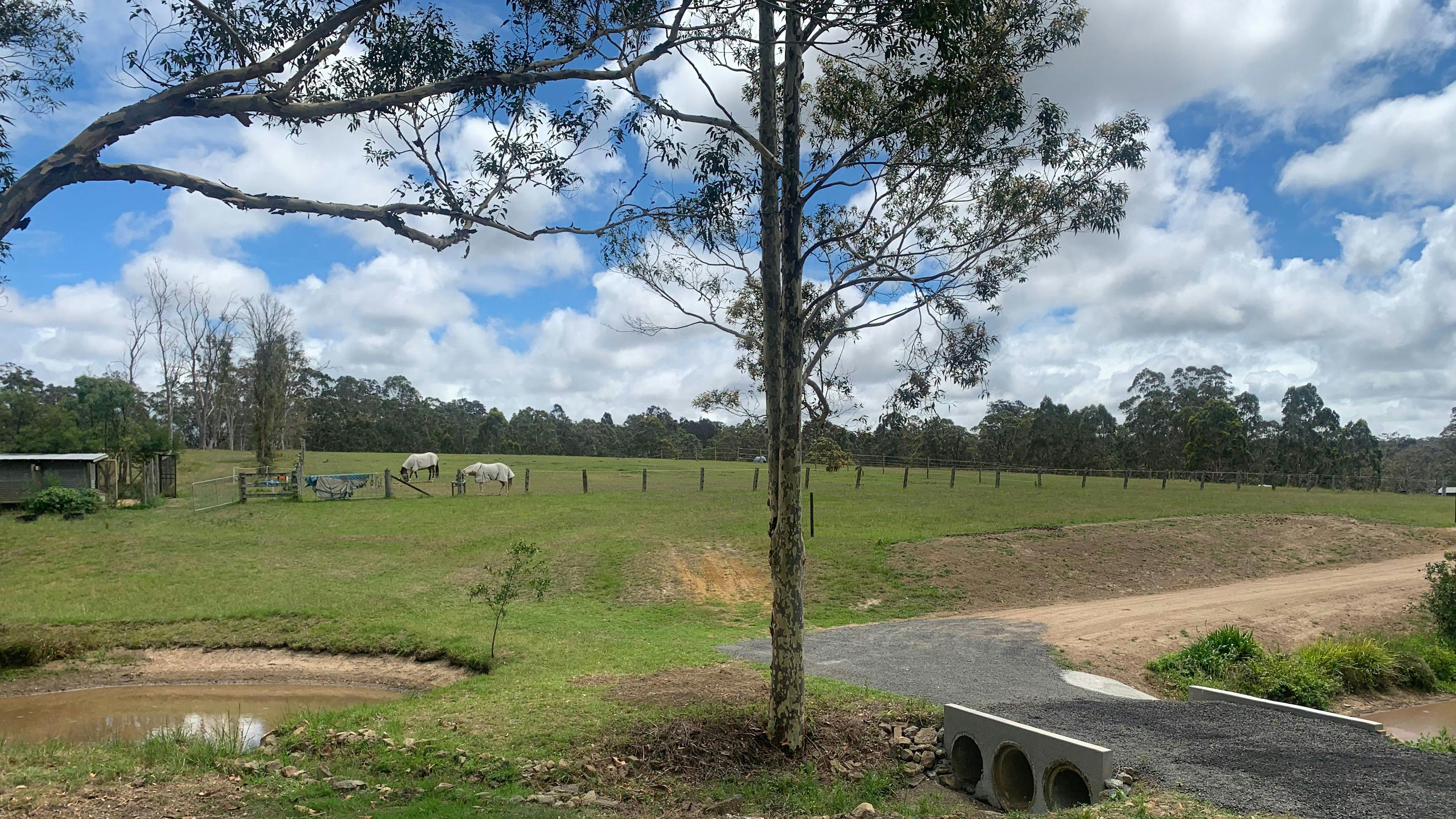 Currambene Creek Farm