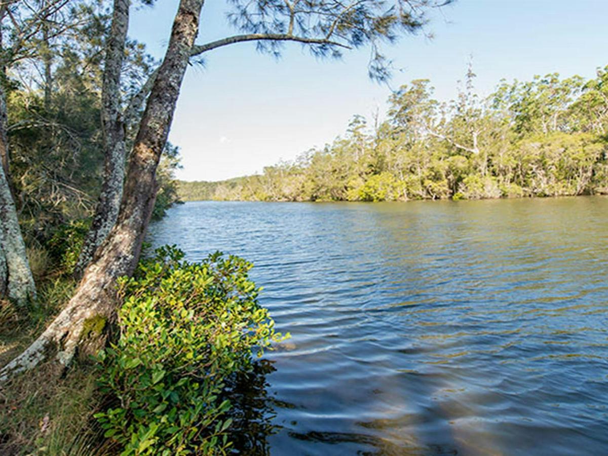 Ferny Creek campground, Wallingat National Park. Photo: John Spencer/NSW Government