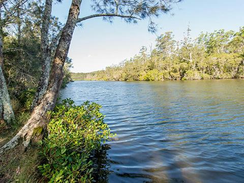 Ferny Creek campground