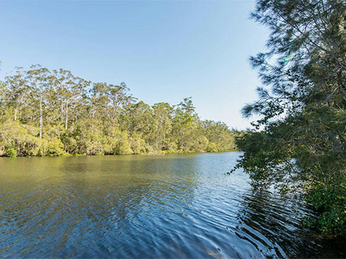 Ferny Creek campground, Wallingat National Park. Photo: John Spencer/NSW Government