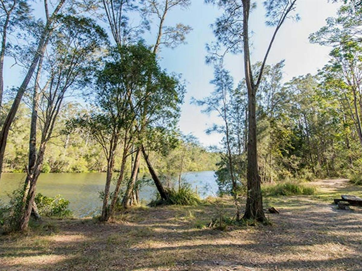 Ferny Creek campground, Wallingat National Park. Photo: John Spencer/NSW Government