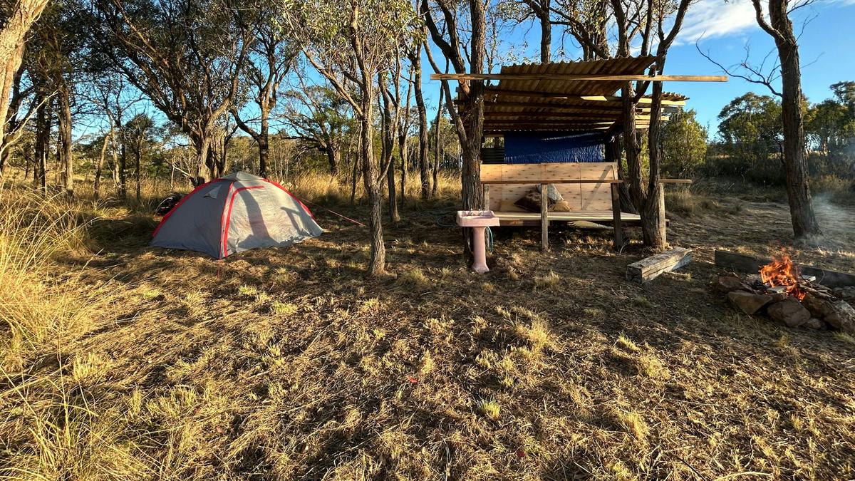 Darlinghurst Farm