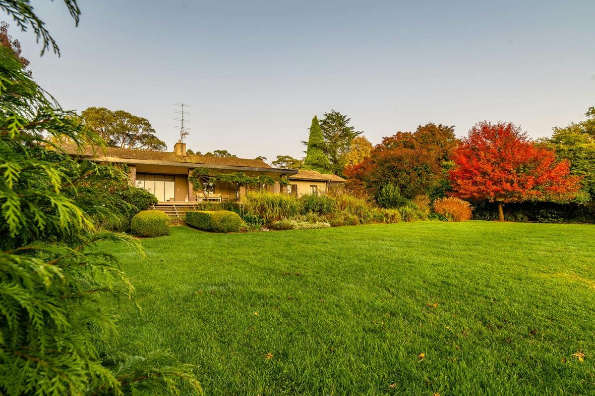 Grass lawn