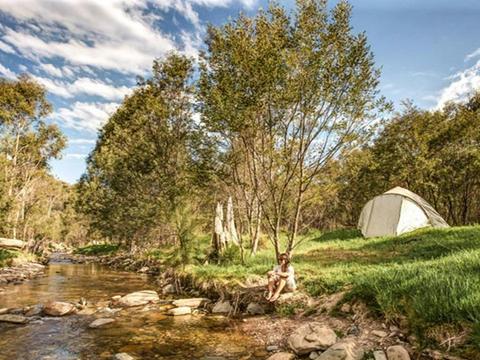 Flea Creek campground
