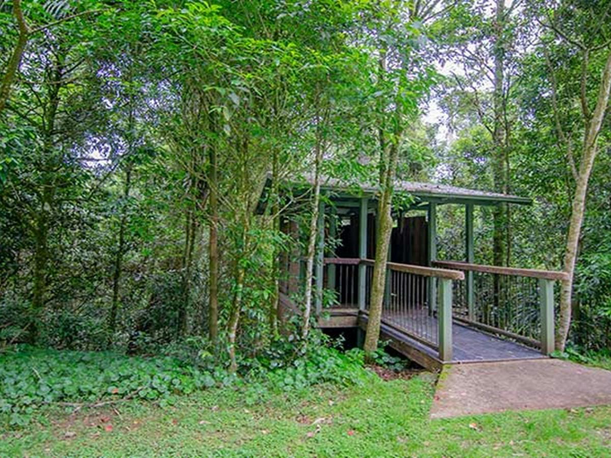 Non-flush toilet facilities at Forest Tops campground, Border Ranges National Park. Photo credit: