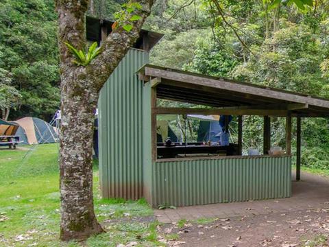 Picnic shelter at Forest Tops campground, Border Ranges National Park. Photo credit: John Spencer