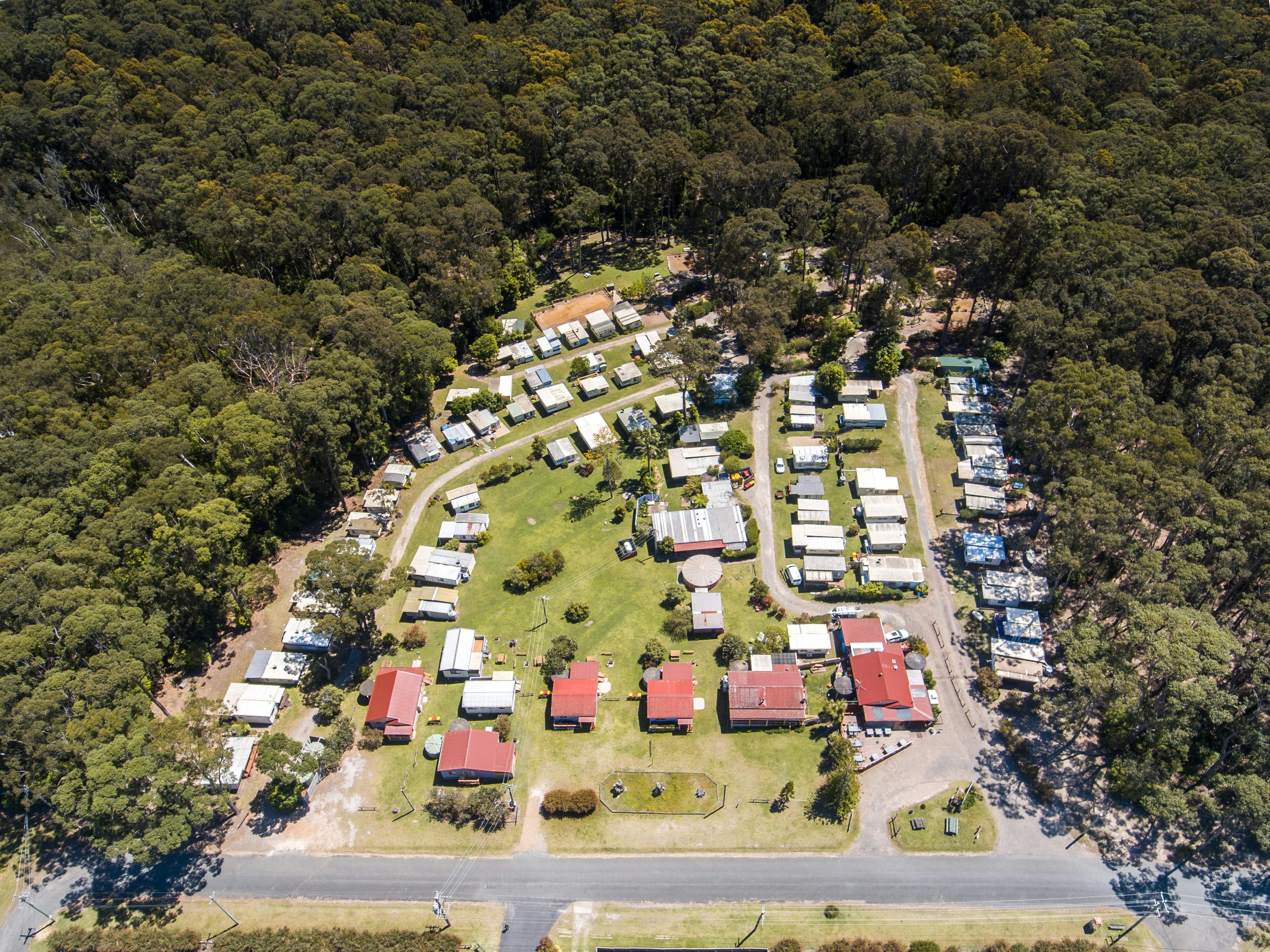 Our park cabins plus camping in trees