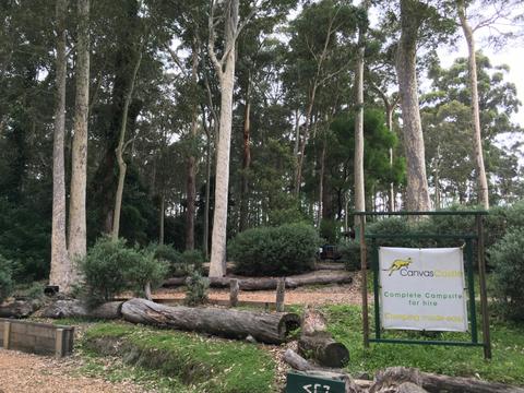 Campsites amongst trees