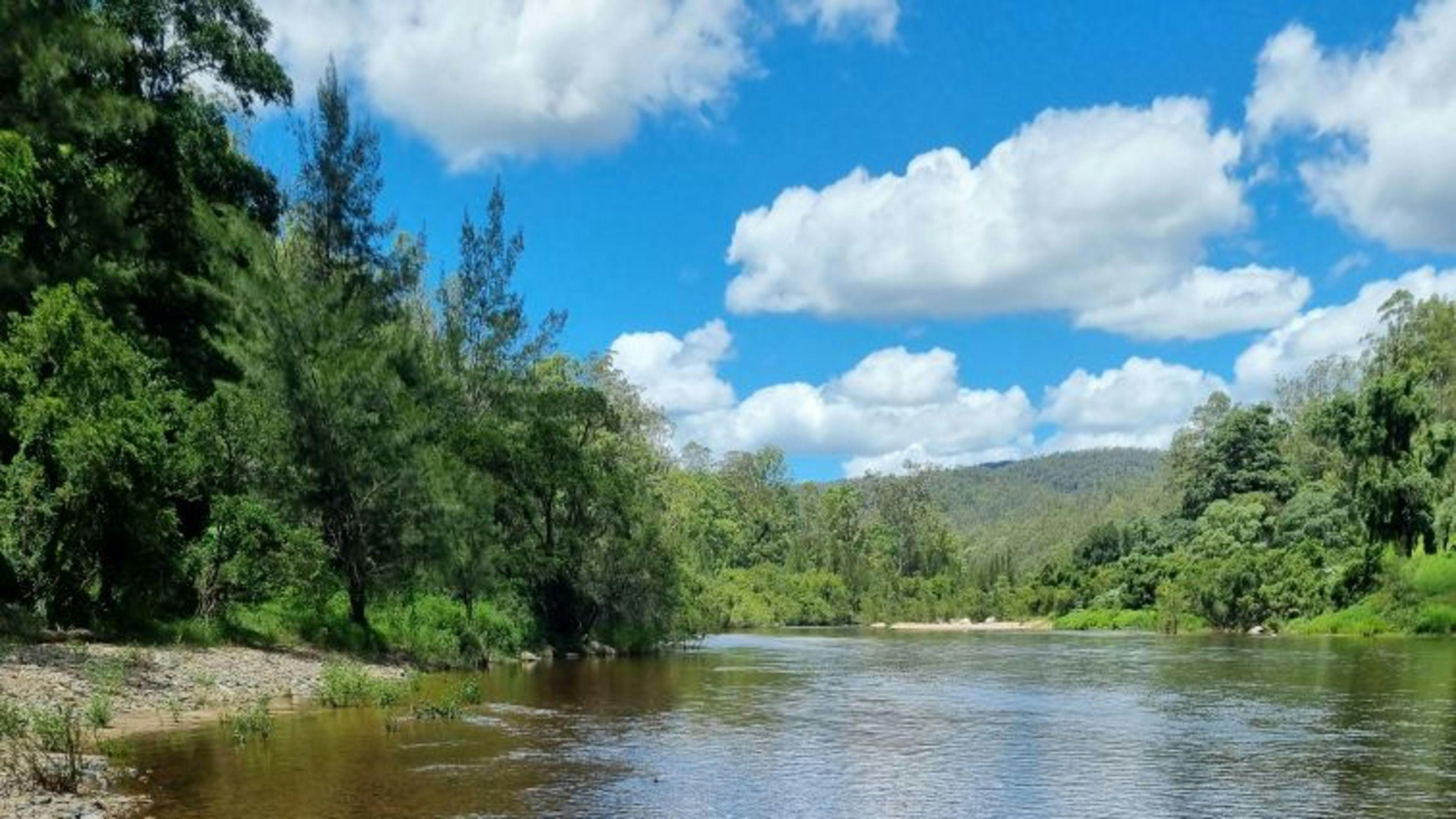 Eagle Ridge Bush Retreat