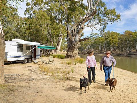 Campers with their dogs at Willoughbys Beach campground near Deniliquin. Photo: Gavin Hansford/DPIE