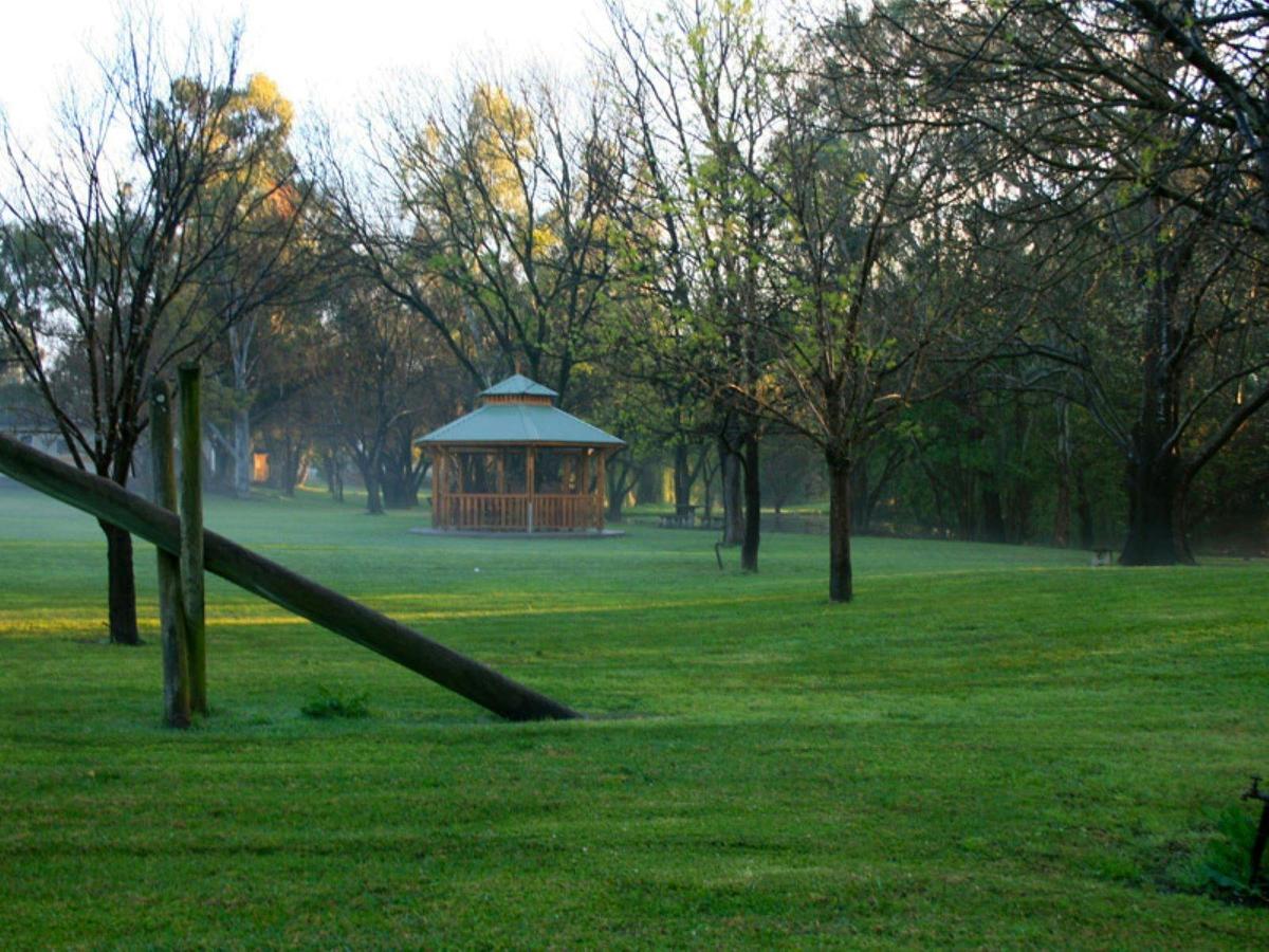 Park area