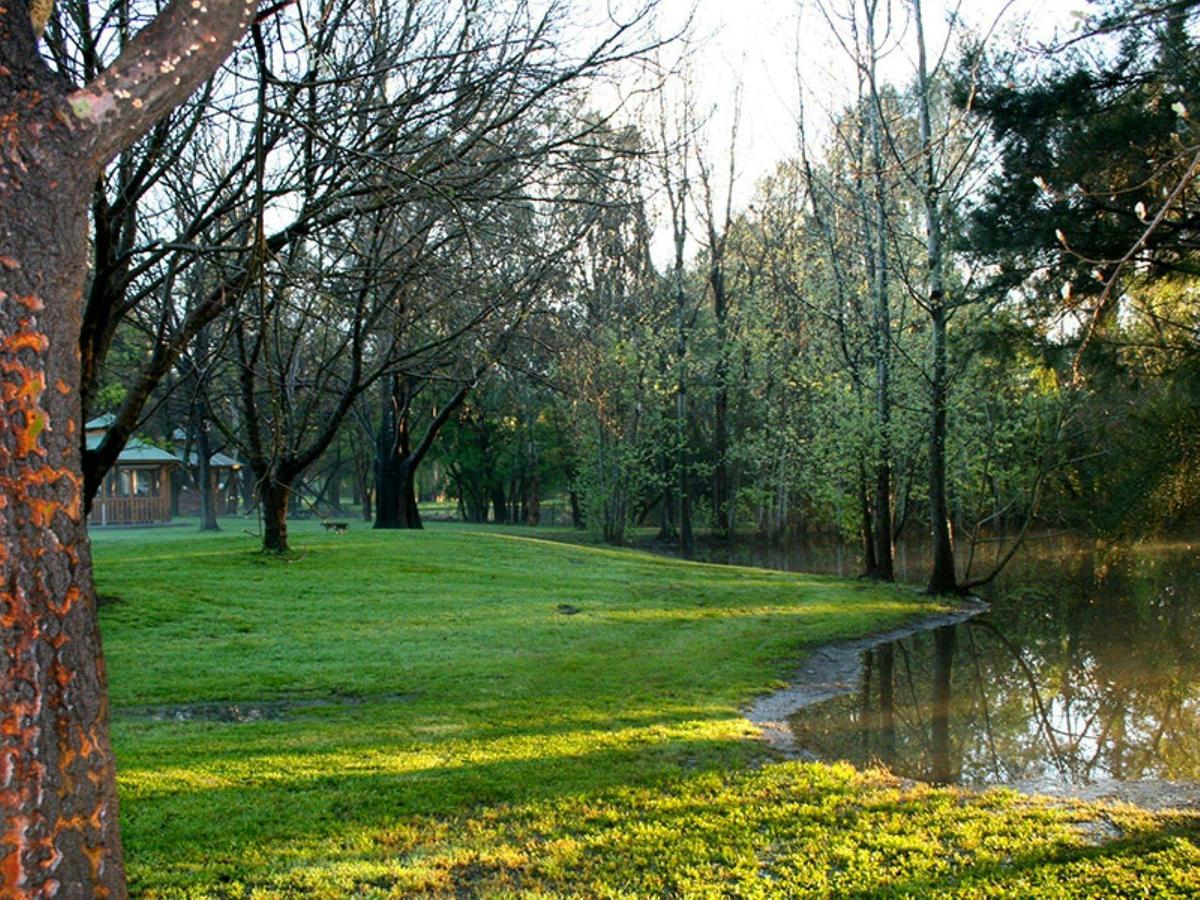 Creek waterfront