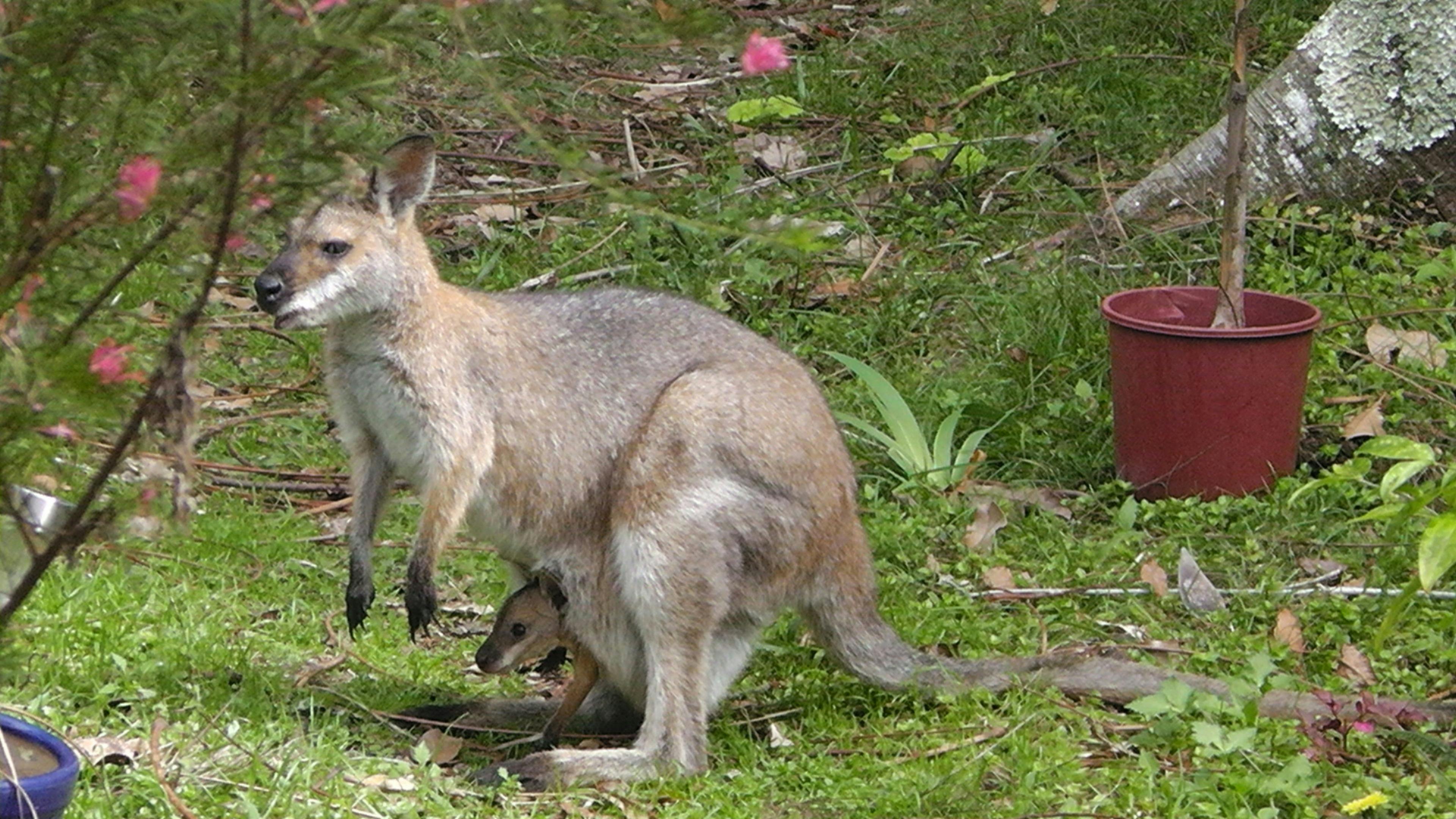 Edan Gardens Wellbeing Space House
