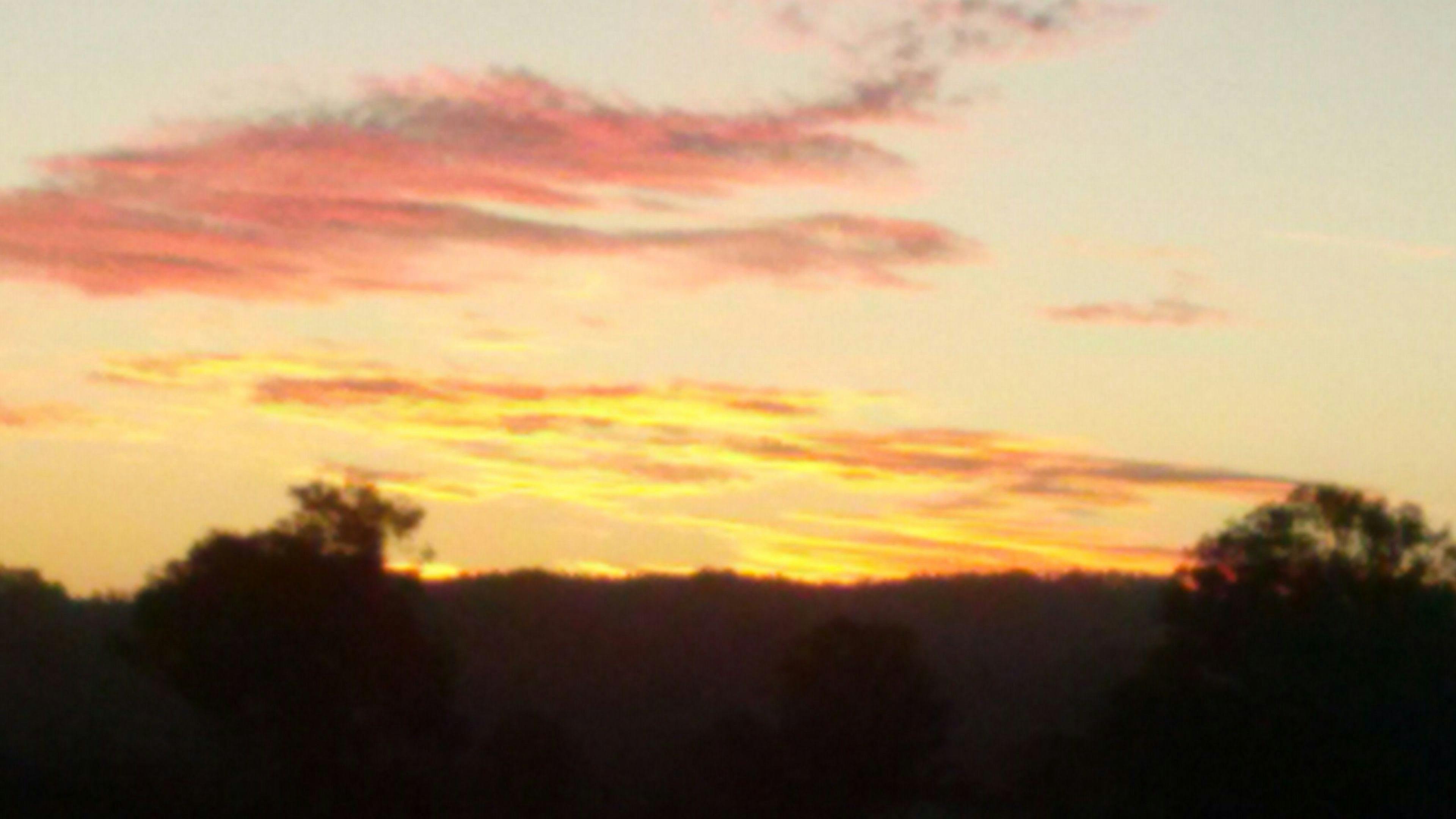 Edan Gardens Wellbeing Space House