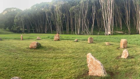 Fern gully Creek, Coorabell