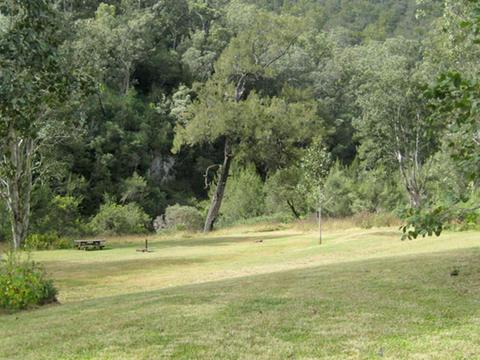 A gentle, grassy slope down to a picnic table, Doone Goonge campground, Chaelundi National Park.