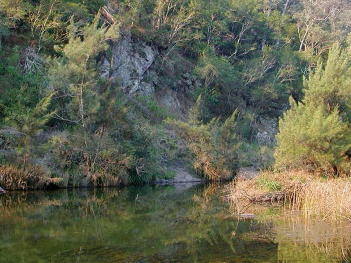 Chandlers Creek, Doon Goonge campground, Chaelundi National Park. Photo: A Harber/NSW Government