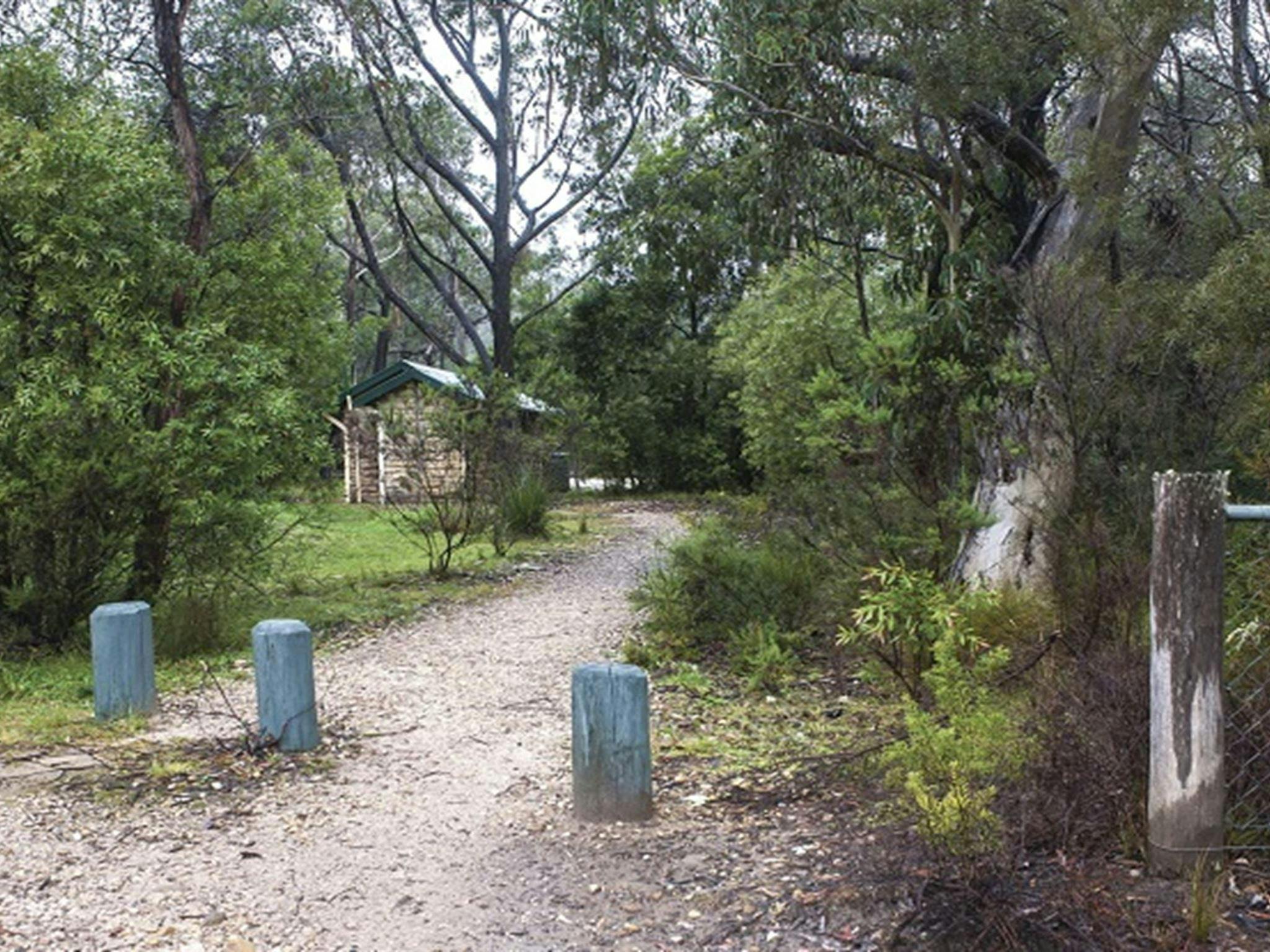 Track leading into Gambells Rest campground. Photo: Michael Van Ewijk/OEH