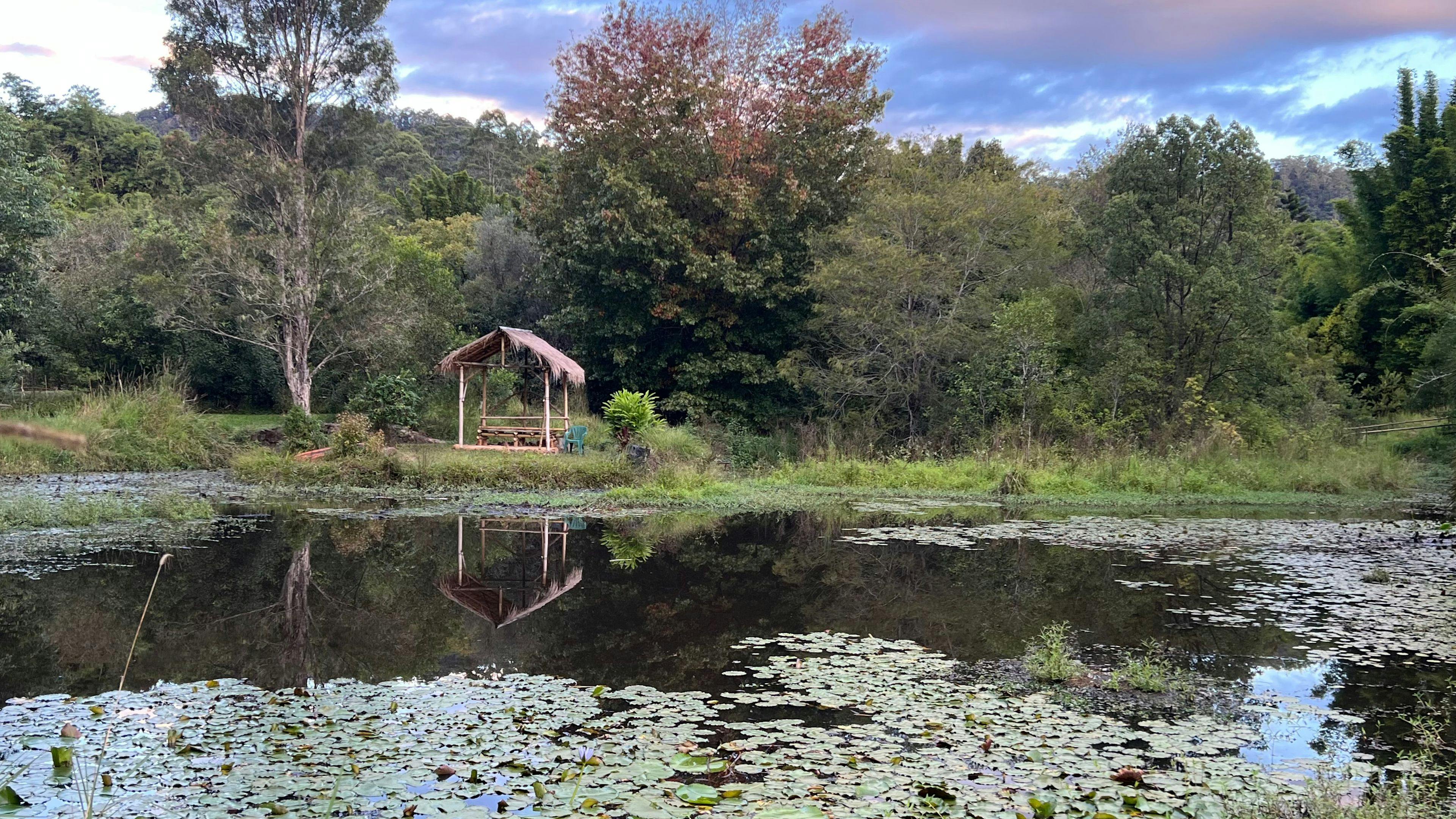 Bamboo gazebo in the island is accessible via a quaint stone bridge guarded by a life-size troll. A delightful place to enjoy the peace and best spot for watching the sun set over the lily pond