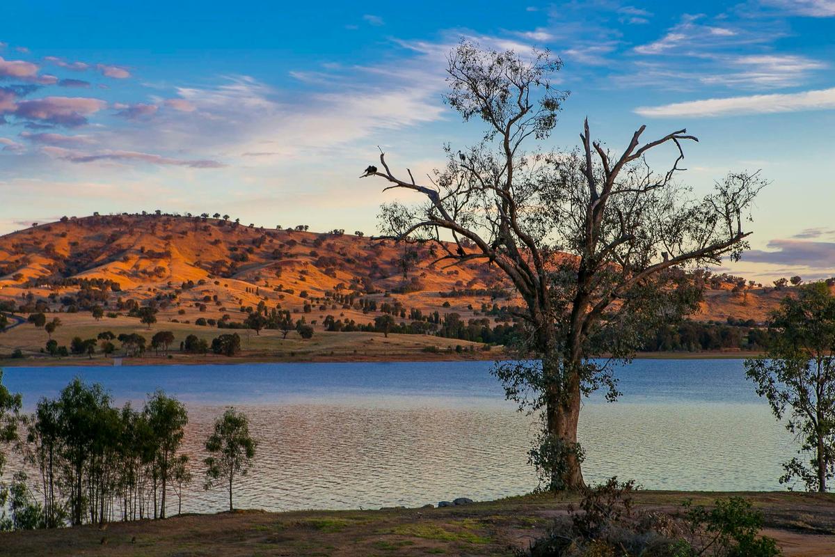 Discovery Parks - Lake Hume