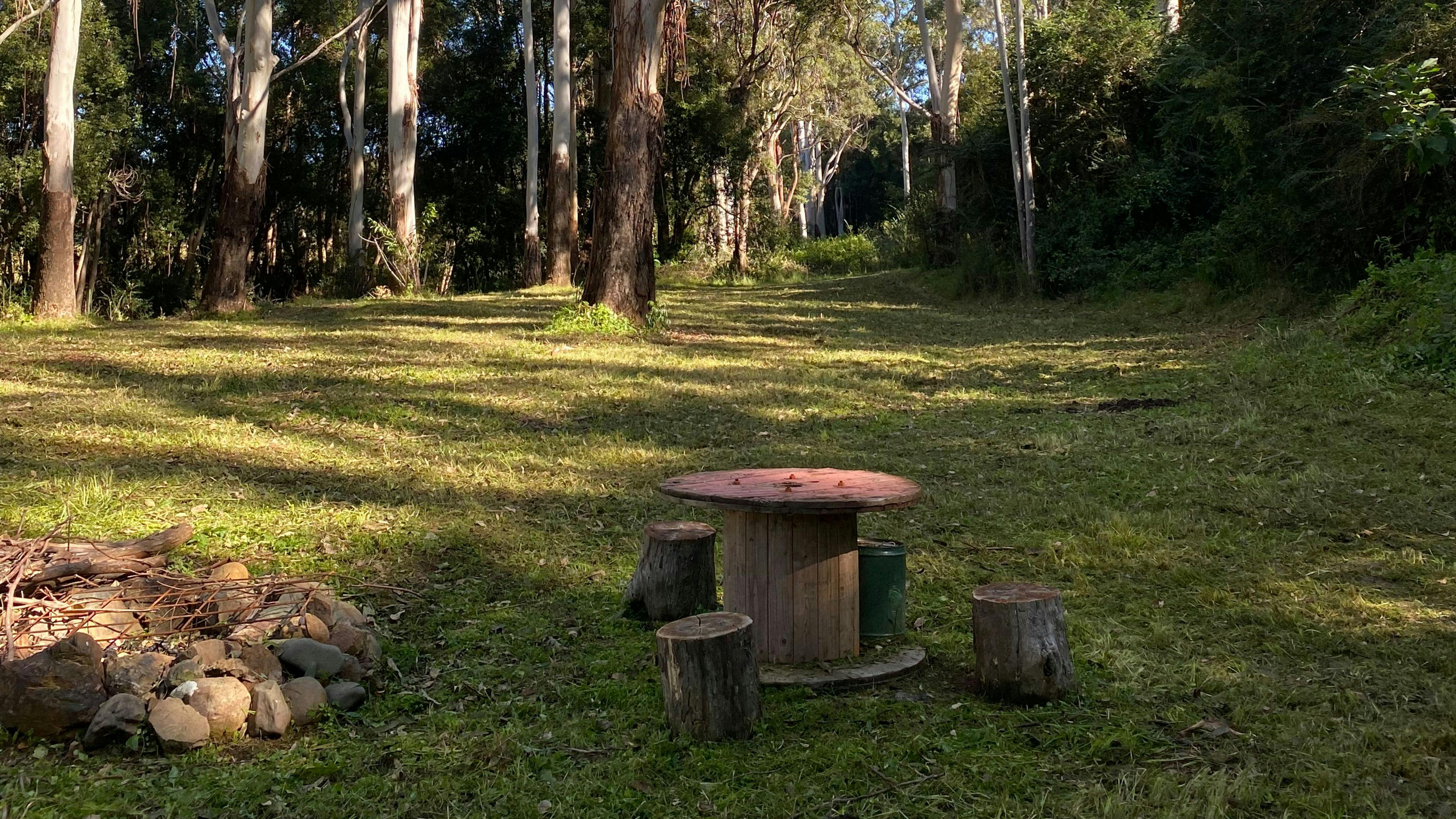 Bulli Creek camp