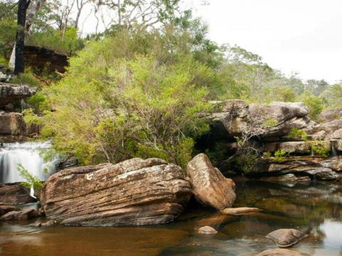 Dharawal National Park