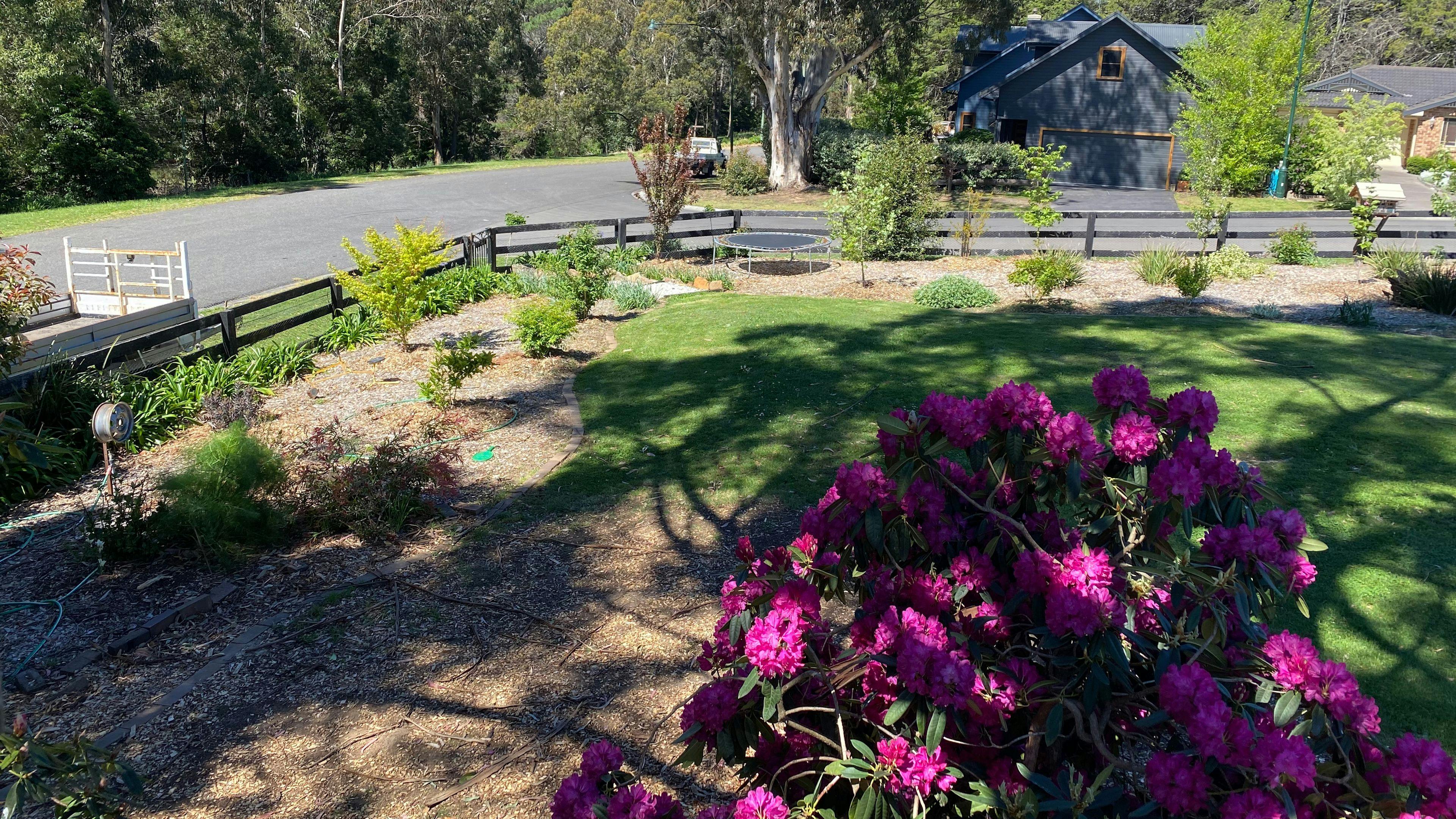 Garden Space - Bundanoon