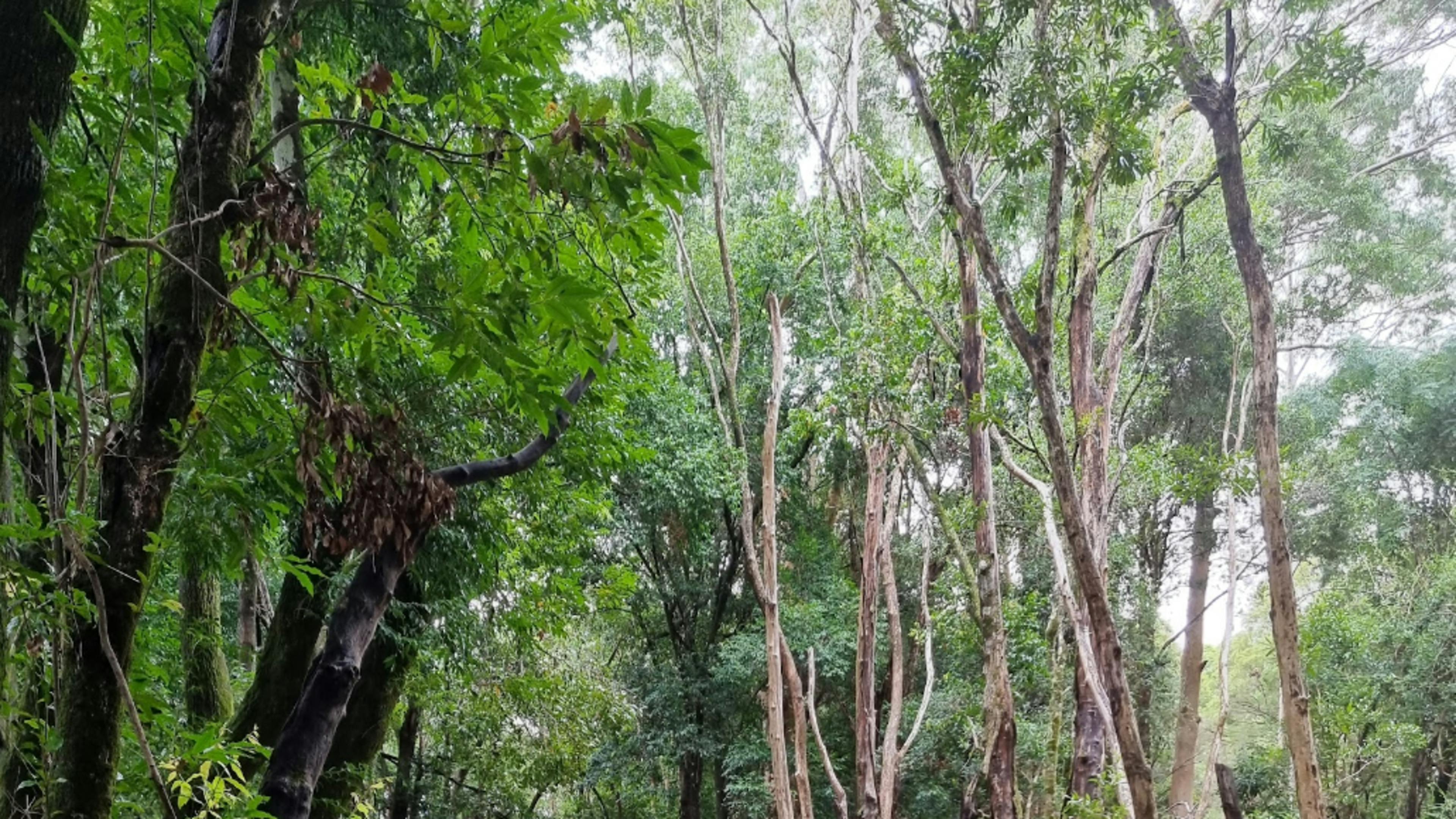 The creek flowing after recent rains