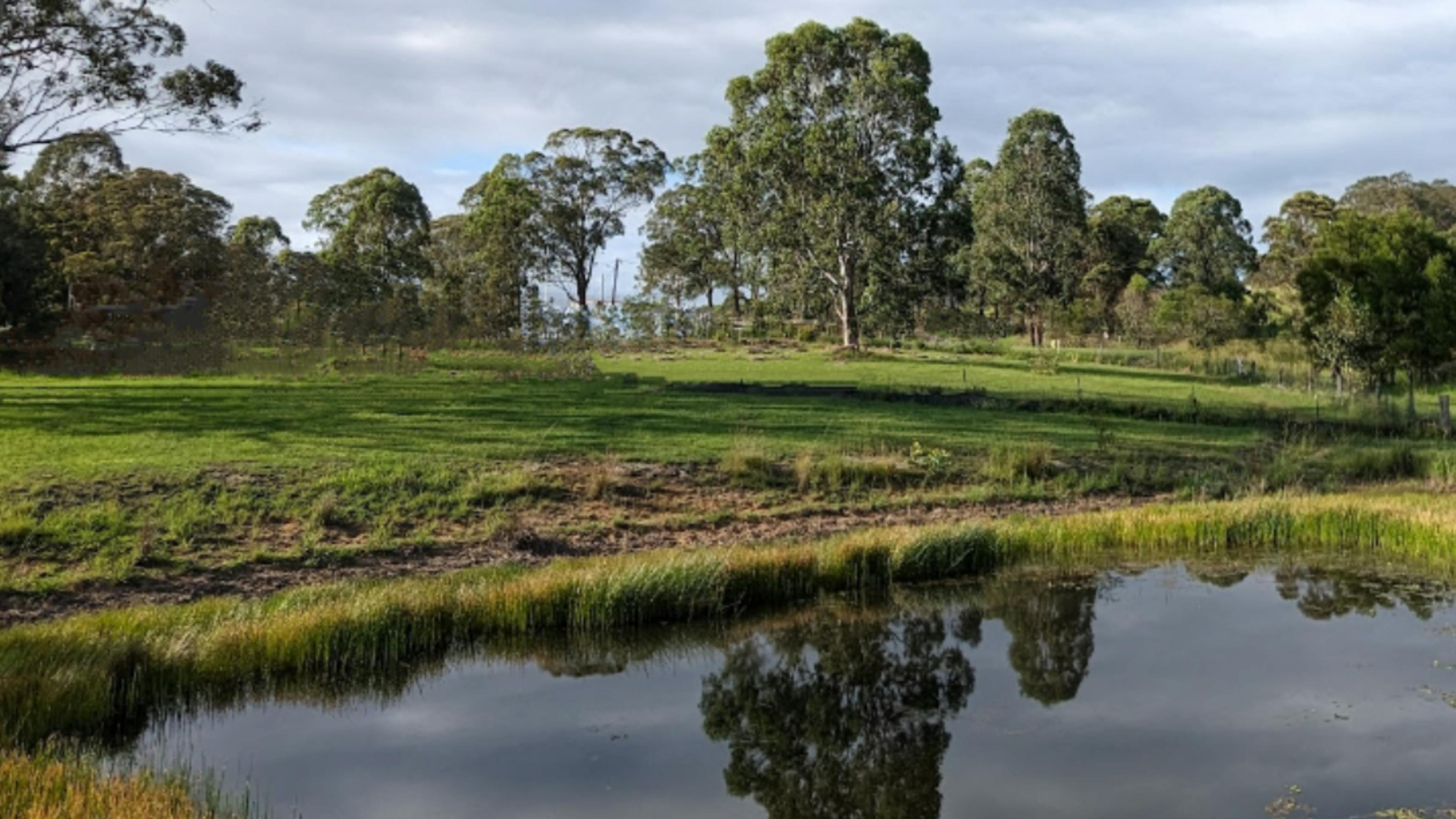 Forest Creek Retreat