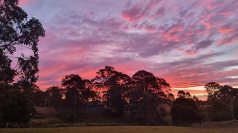 Forest Creek Retreat