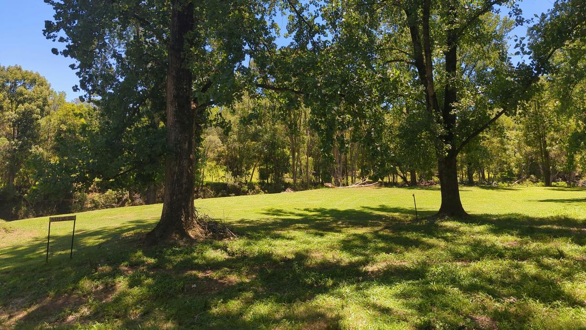 Eagles Nest Hideaway, Pecan Fields