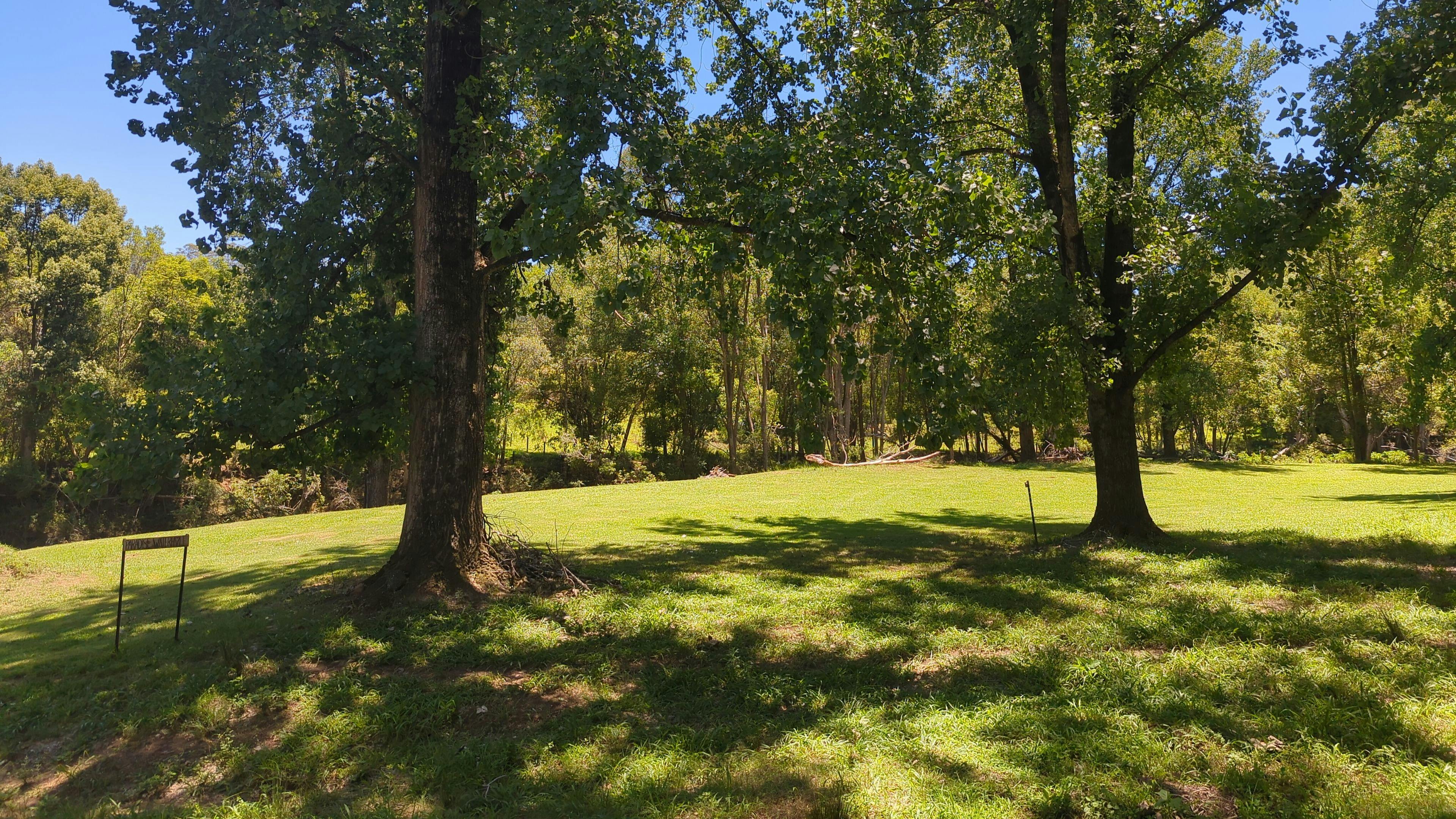 Eagles Nest Hideaway, Pecan Fields