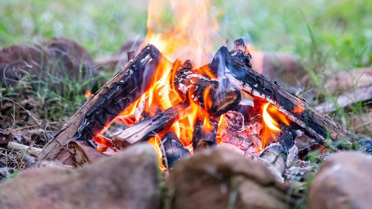 Each designated camp site has its own firepit.