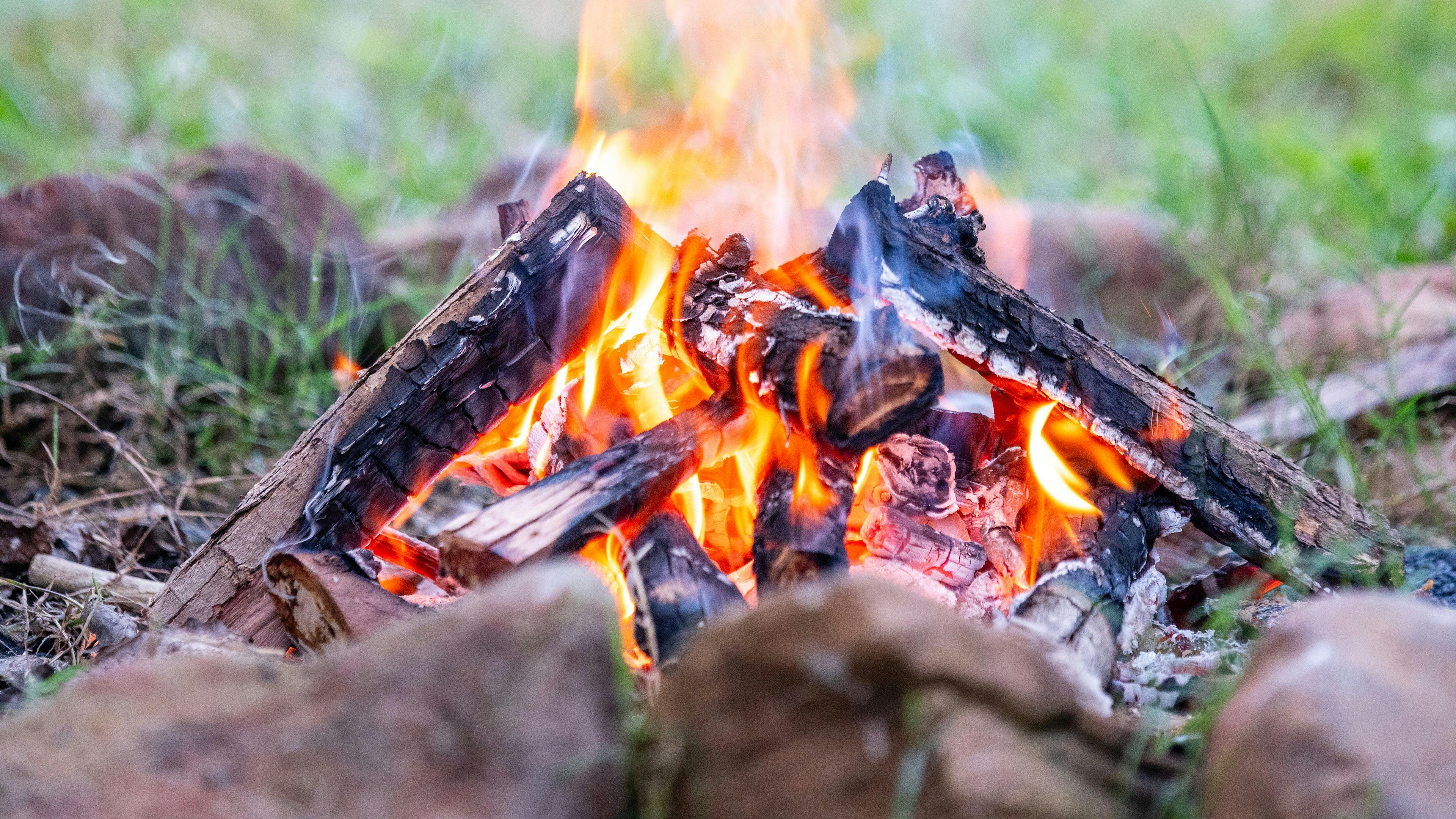 Each designated camp site has its own firepit.