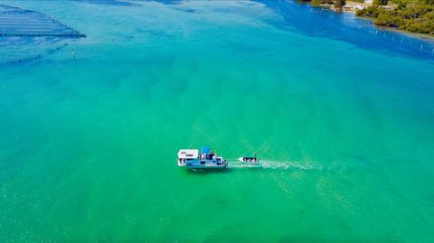 Forster Houseboat Hire